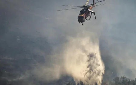 Heatwave Sweeps Mediterranean, Triggers Health and Fire Alerts