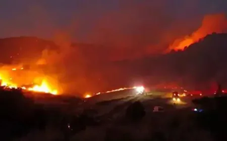 Forest Fire Threatens Homes in Turkey’s Izmir Province