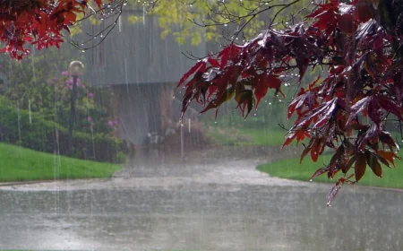 Met Office Forecasts Rain Across the Country