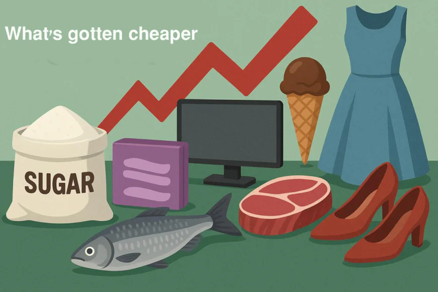 What’s Cheaper and What’s Costlier in the Proposed Budget 2025–26 - The ...