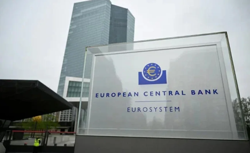 ECB Set to Slash Rates Again as Trade War Pressures Persist