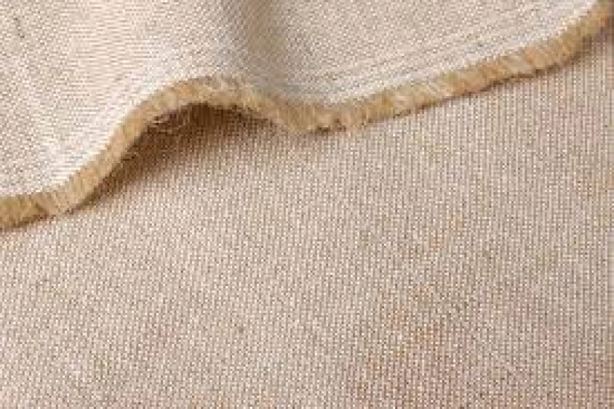 Tk 480cr Proposed for Jute and Textile Ministry in FY26 Budget