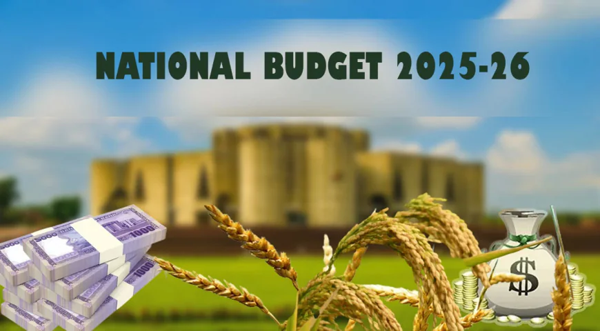 Tk 8,322cr Allocated for Food Sector in FY26 Budget