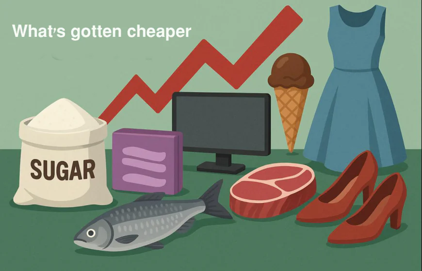What’s Cheaper and What’s Costlier in the Proposed Budget 2025–26