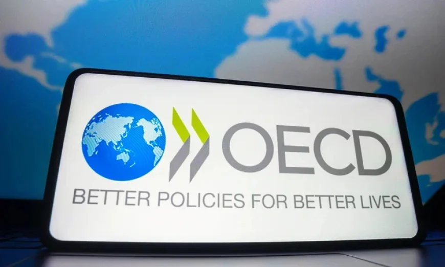 OECD Lowers Global Growth Forecast Amid Trade Tensions