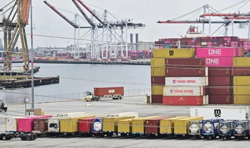 US Doubles Metal Tariffs, Stirring Global Trade Concerns at OECD Summit