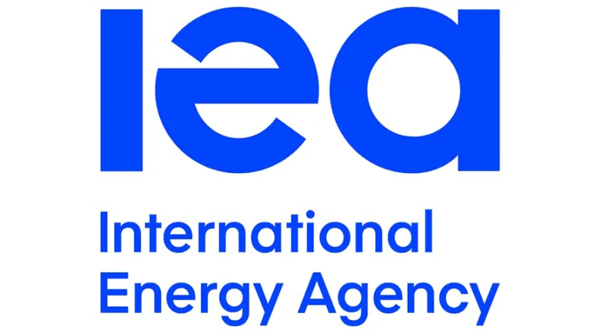 Clean Energy Investment Climbs Despite Economic Challenges: IEA