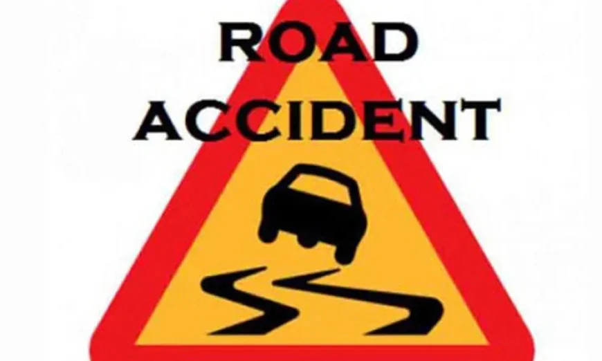 One Killed in Road Accident in Natore