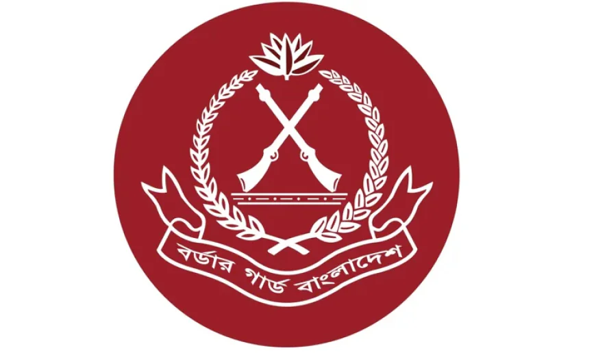 BGB Seizes Large Quantity of Drugs in Dinajpur