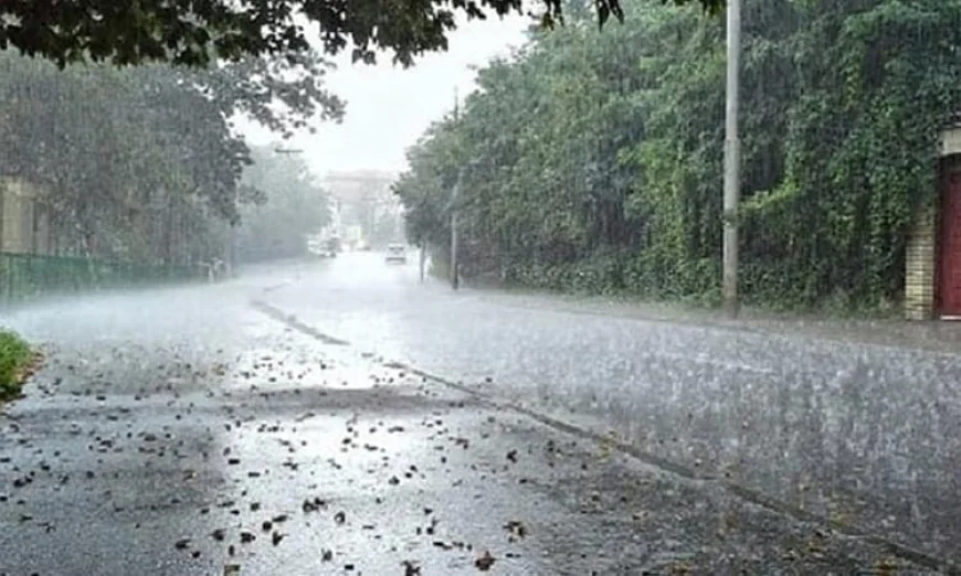Rain Expected in Chattogram and Sylhet