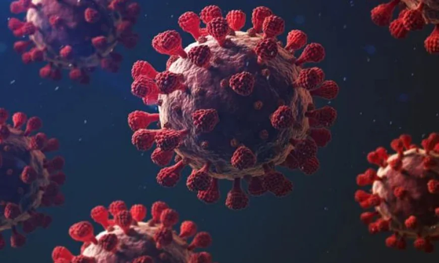 3 New Covid-19 Cases Reported in the Country