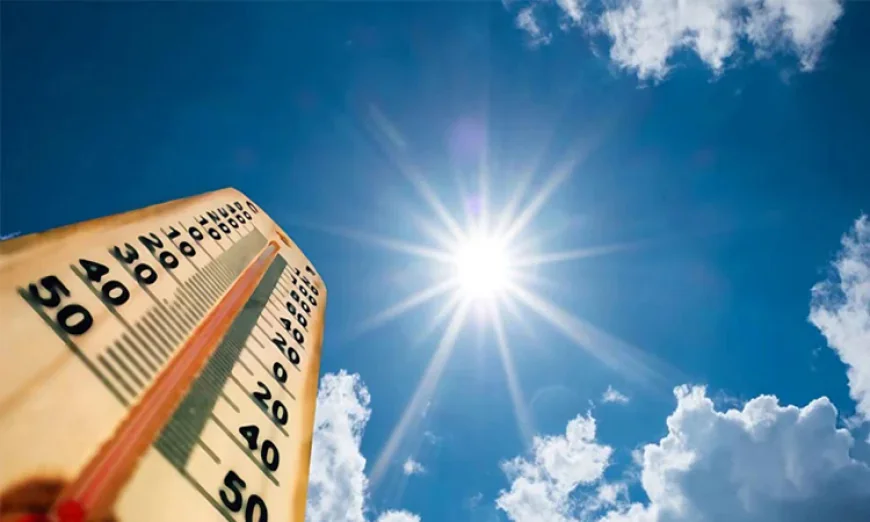 Met Office Forecasts Mild Heat Wave Across Parts of the Country