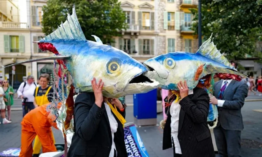 UN Summit Highlights Ocean Protection, Omits Fossil Fuel Discussions