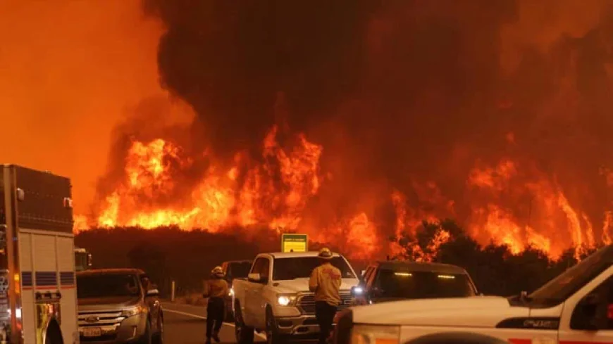 Top Scientists Raise Alarm as Climate Warning Signs Intensify