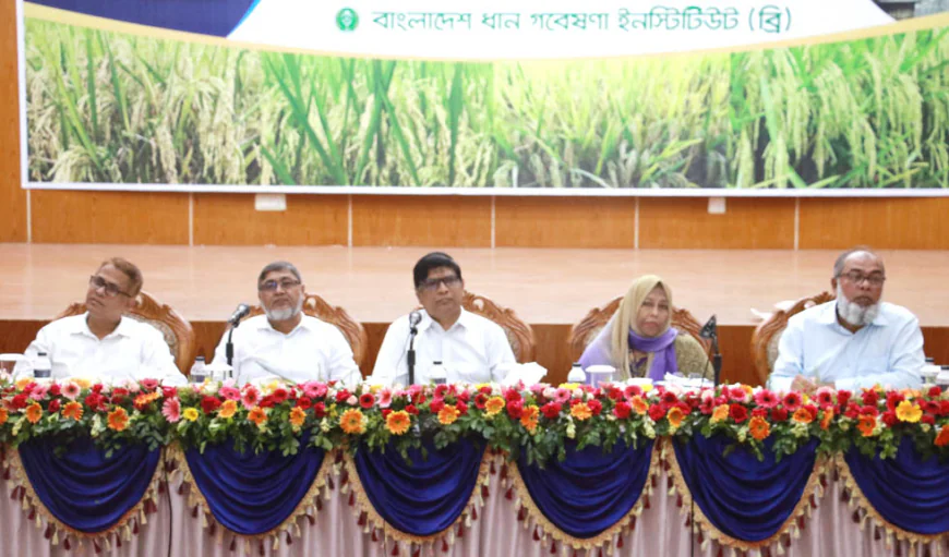‘Location-based paddy variety, technology innovation ongoing’