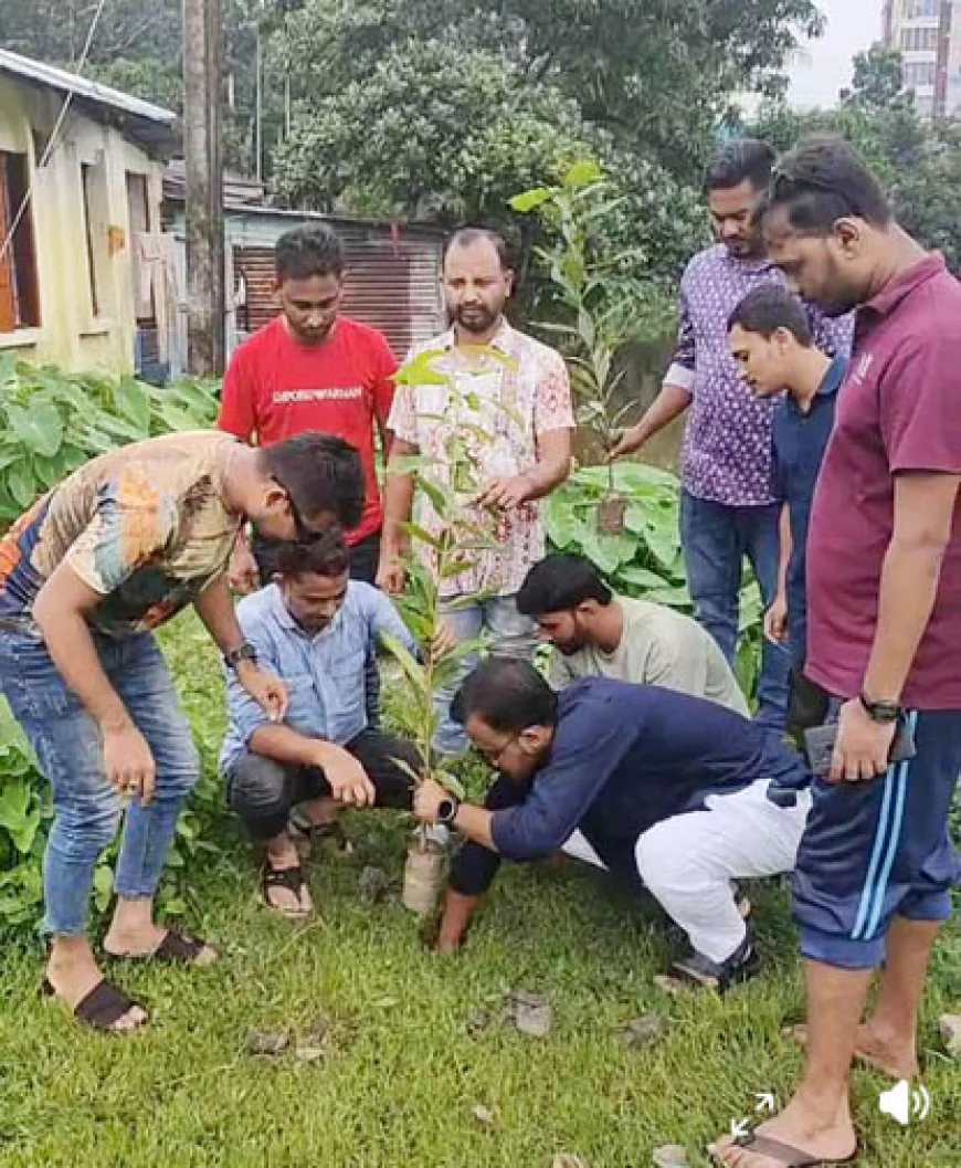 Chhatra Dal begins tree planting in Patuakhali