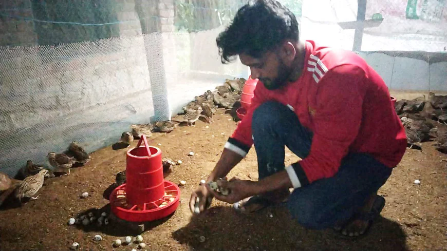 Youth successful in koel bird farming in Lalmohan