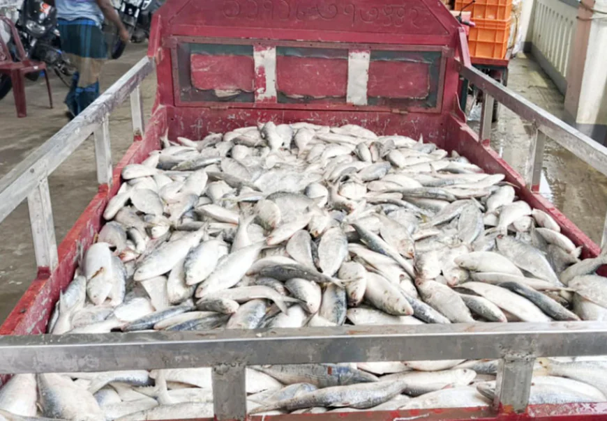 40 maunds jatka seized in Patharghata