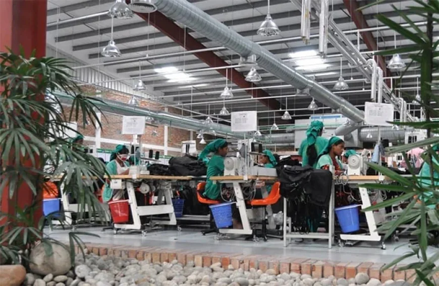 Bangladesh’s Apparel Exports to the EU Jump to $8.07 billion