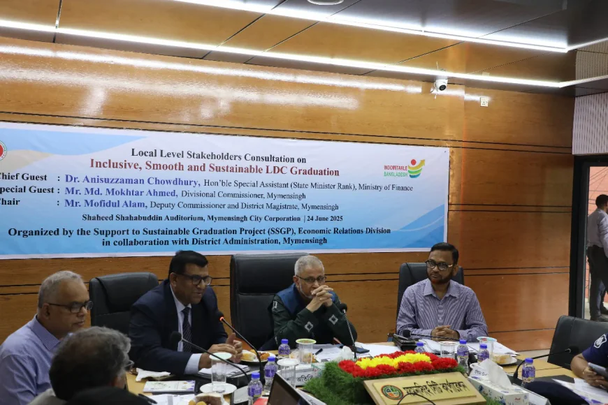 Sustainable LDC Graduation Hinges on Unity and Self-Reliance: Dr. Anisuzzaman