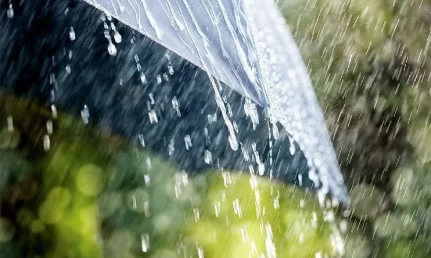 Light to Moderate Rain Forecast Across the Country