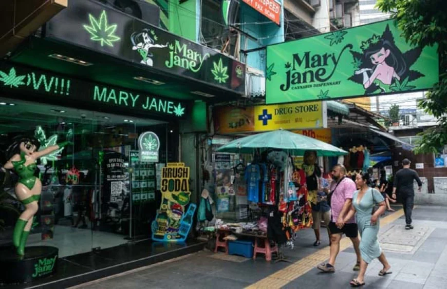 Thailand proposes new restrictions on cannabis sales to limit recreational use