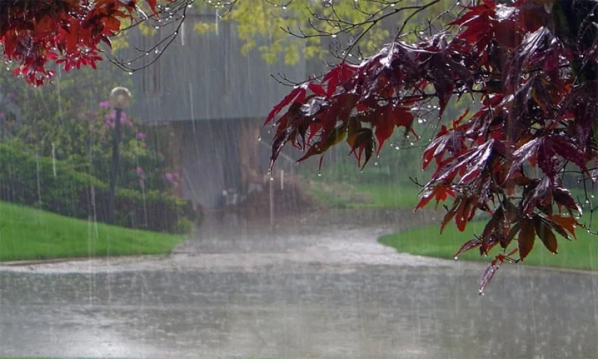 Met Office Forecasts Rain Across the Country