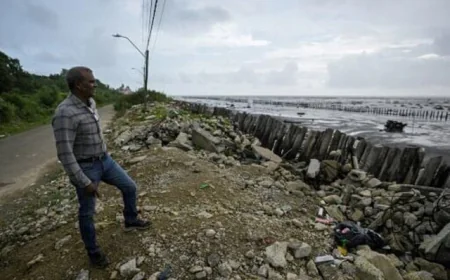 “Every day the land disappears”: Suriname fights the encroaching sea