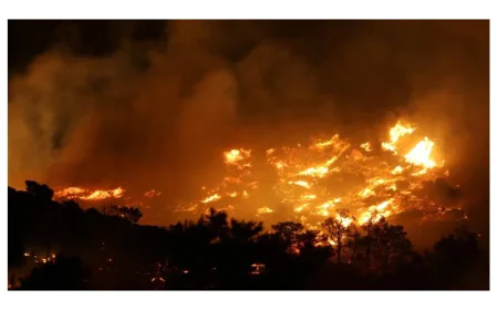 Wildfire Forces Evacuations of 1,500 on Crete Amid Heatwave