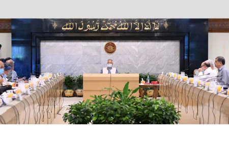 Government Approves 2025 Second Amendment Ordinance on Services