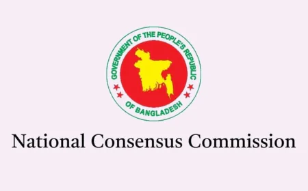 National Consensus Commission Meets with Election Commission