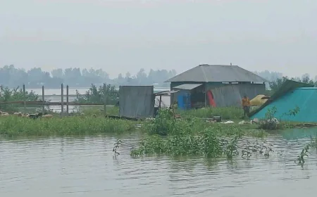 Sirajganj: 150 Houses Washed Away by River Erosion