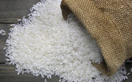 Govt Plans to Import Four Lakh Tonnes of Rice