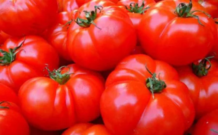 U.S. Imposes 17% Duty on Mexican Fresh Tomatoes