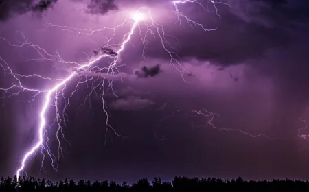 Lightning strike kills farmer in Bogura