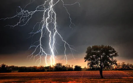 Satkhira man dies after being struck by lightning