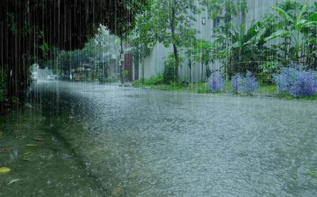 Rain Forecast Across the Country, Says Met Office