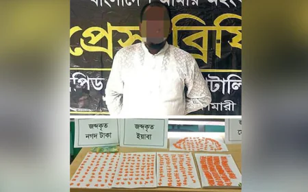 One Arrested with 1,965 Yaba Tablets in Nilphamari