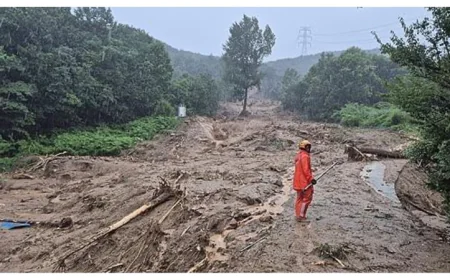 Five Dead, Two Missing After Heavy Rain in South Korea