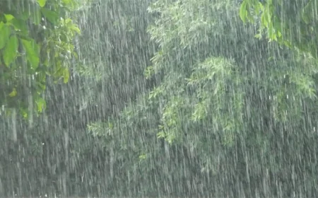 Rain Predicted Nationwide, Says Met Office
