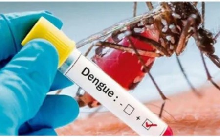 Health Officials Report 364 Fresh Cases of Dengue Infection Overnight