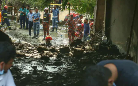 DNA Tests Begin to Identify Unidentified Plane Crash Victims