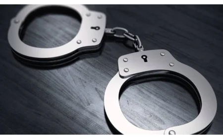 Police Arrest Two with Firearms in Cumilla