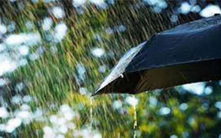 Rain Likely in Forecast