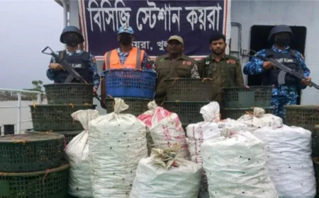 730 kg of Crabs Seized in Sundarbans Anti-Poaching Drive