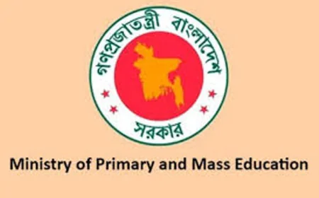 Government to Fill Vacant Primary Headteacher Posts Soon