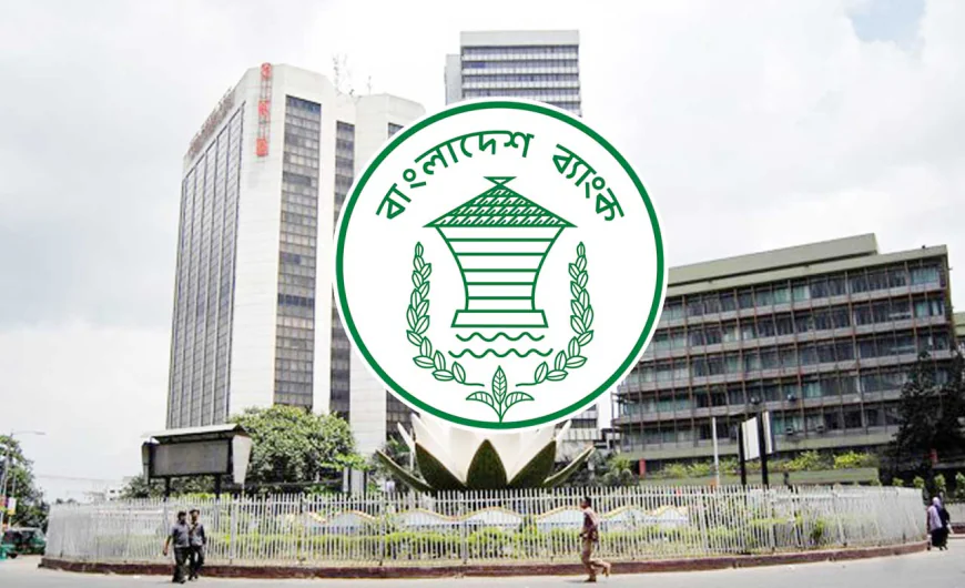 Forex Reserves Strengthened by Record Remittance Inflow