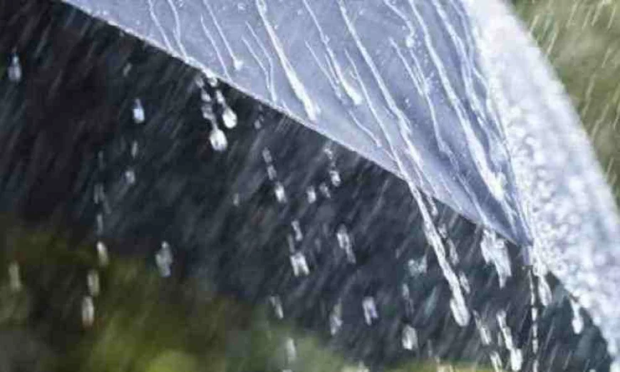 Moderate to Heavy Rain Likely Across Bangladesh