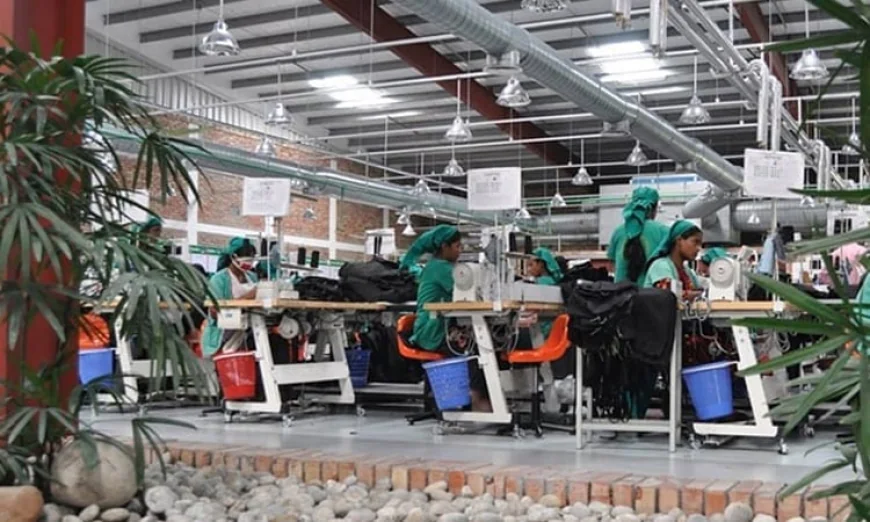 RMG Exports from Bangladesh Rise by 8.84% in FY25