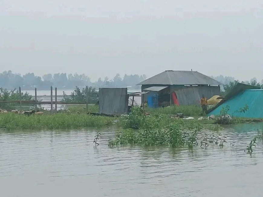 Sirajganj: 150 Houses Washed Away by River Erosion